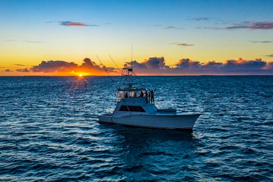 Ultimate Fishing Adventure: 53ft Hatteras Fishing Charter from Casa de Campo