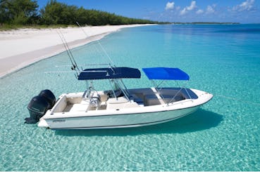 30ft Intrepid Charter in Nassau, Bahamas for Snorkeling, Pigs, Turtles & More