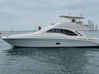 Profitez de Carthagène sur un magnifique yacht à moteur Sea Ray de 60 pieds !