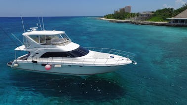 Sea Ray 60 pies de altura en Cozumel. ¡Con comida y bebida!