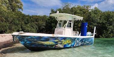 EXPLORE Natural Beauty of the Keys on our 27FT SEABORN!!
