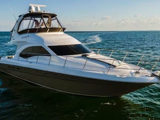 ENJOY MIAMI IN NEW 48FT SEARAY!!