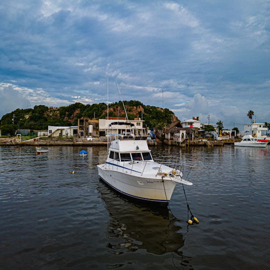 Iate personalizado de 40 pés para viagens memoráveis de cruzeiro e pesca esportiva