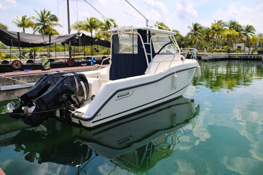 Experience World-Class Fishing at El Cielo Cozumel with the Boston Whaler 27