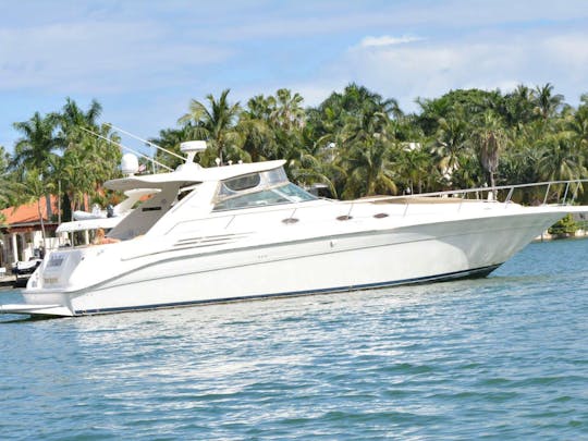 ¡Searay Sundacer de 48 pies de largo en Miami Beach!