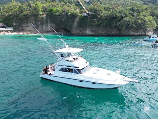 Un yacht incroyable pour naviguer confortablement dans la baie | Trojan Flybridge de 46 pieds