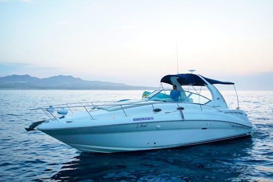 Cabo's Finest Charter: Unforgettable 35ft Sea Ray Experience