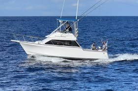 33ft Innovator Sportfisher - Private Charter Kailua-Kona, Hawaii
