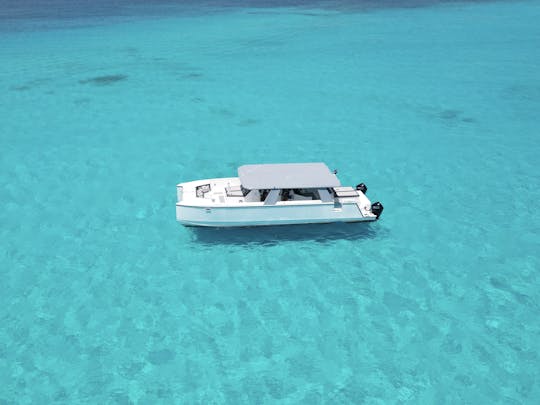 Catamarán de lujo para 60 personas, 50 pies, perfecto para grupos grandes.
