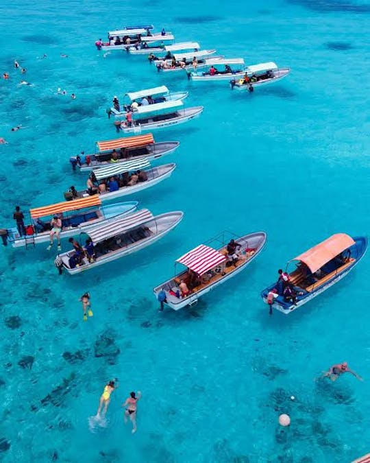 Passeio de golfinhos na Ilha Mnemba na Ilha Mnemba em Zanzibar