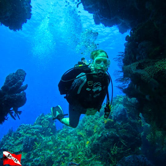 Scuba Diving at the Great Barrier Reef