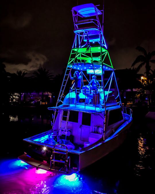 #1 Charters de pesca en alta mar para toda la familia