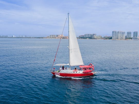 Magnificent Sailing Endeavour de 40 pés para uma experiência única no PV.