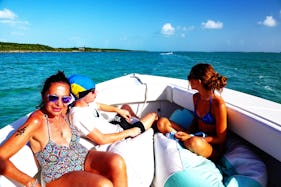 Private Swimming with Pigs Tour, Snorkeling & More in Exuma!  Taste of Paradise 
