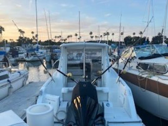 Croiseur de pêche en haute mer à grande vitesse Beneteau Antares 7