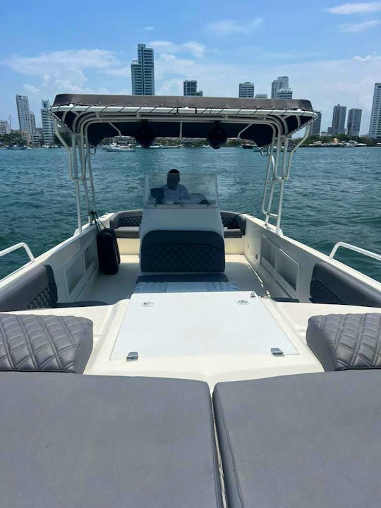 Captained 30-foot American Tug Center Console Boat for 12 people 