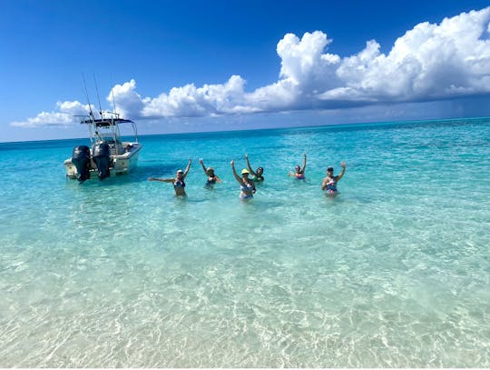 Intrepid Charter de 30 pies en Nassau, Bahamas, para bucear con esnórquel, cerdos, tortugas y más