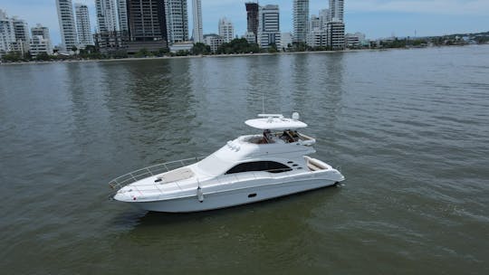 Sea Ray 58 Sedan Bridge Yacht in Cartagena de Indias (16 Knots)