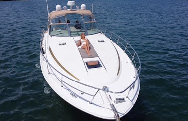 42' Searay Sundancer Yacht for Charter in Aventura