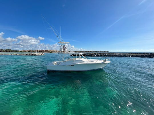 Bateau spacieux Luhrs de 38 pieds, idéal pour la pêche et la plongée avec tuba