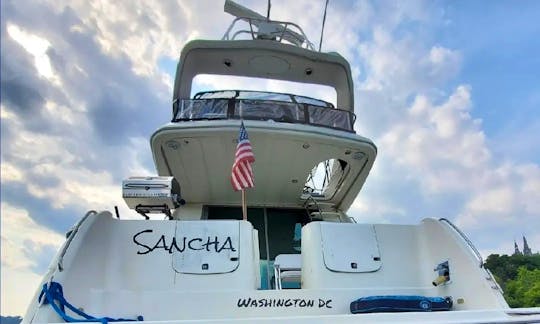 Come enjoy the DC view on the Potomac river aboard Sancha. $375HR to $450HR 