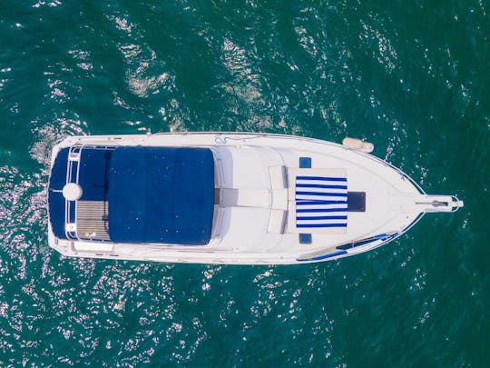 SEA LI-DER | Yacht Magical Mainship de 42 pieds pour la croisière et la pêche sportive à PV