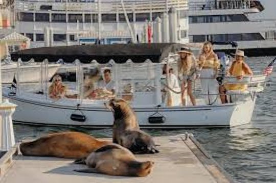 18-Foot Electric Duffy Boat Rental in Newport Beach 8-Passenger