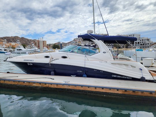 Location de yachts à moteur Sundancer de 38 pieds avec capitaine à Cabo San Lucas