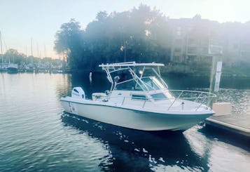 Just Repowered Cuddy Cabin/Walk Around, carta de pesca em barco nu em Annapolis