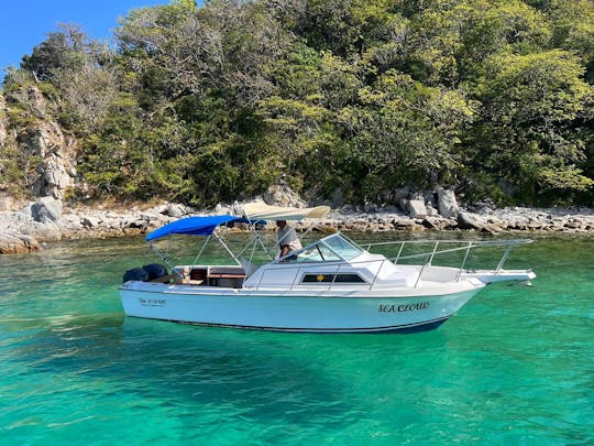 Lancha Argos Nautic de 24 pies -Nube de Mar- en Huatulco