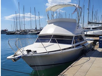 Bertram 28 pies 1985/9 m — 2 x 230 HP Yanmar