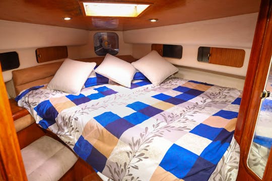 Luxury 40 ft Private Yacht Tour in Dubai Marina