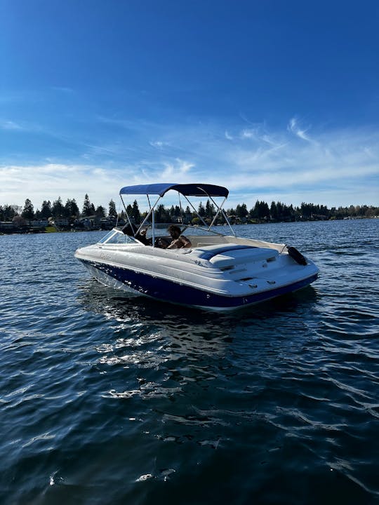 🌊🚤Enjoy the lake in style🚤🌊