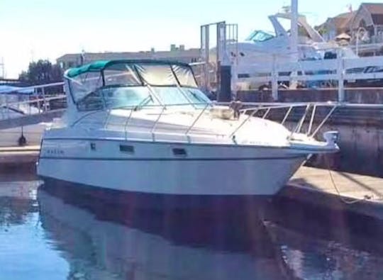 This 32' Maxium is perfect for any occasion 
