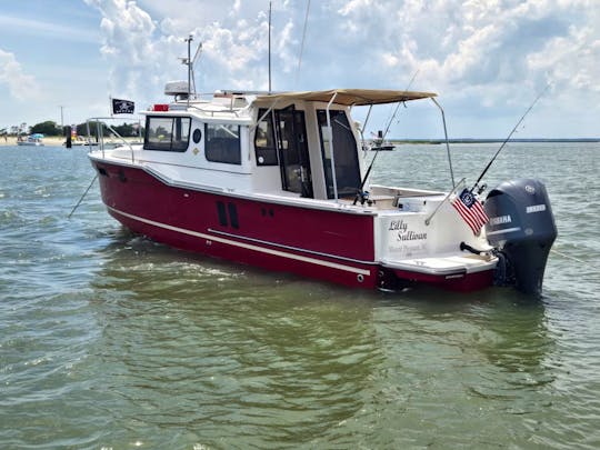 Luxury Tug Boat Harbour cruises