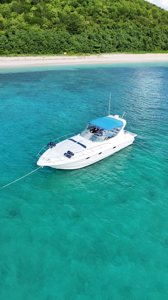 Charter privado VIP de 6 horas de día completo a Icacos, Lobos o Palomino