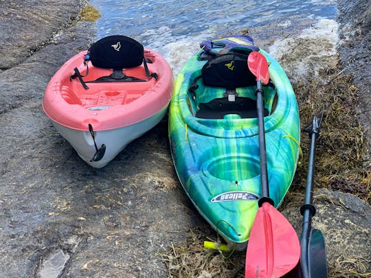 Up to six (6) kayaks for rent near Brandywine River