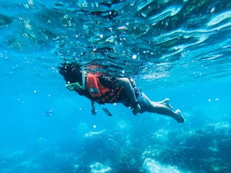 Mergulho com snorkel em Port City, Sri Lanka