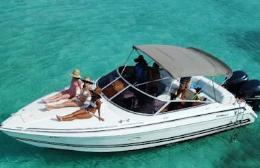 Exotic private charter Rose Island Swimming Pigs and Turtle Excursion!