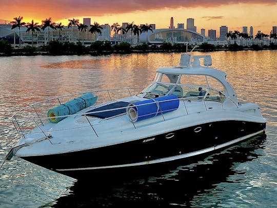 1 Hour free - Yacht and jetski in Miami: Sea Ray Sundancer 50ft