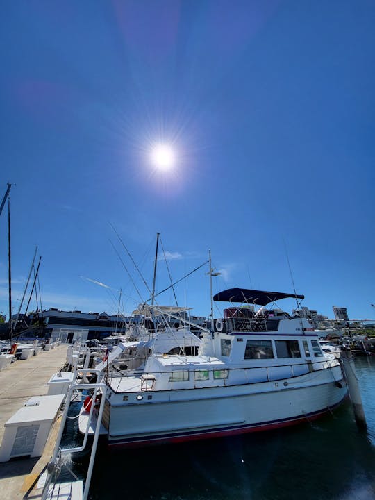 Baie de San Juan : croisière d'une journée | Boissons et collations •