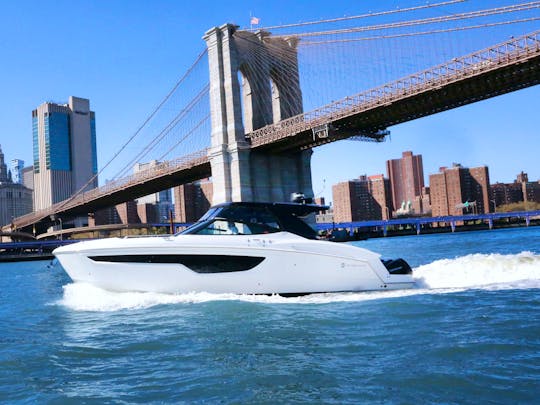 *Female Owned* #1 luxury charter-12 pass. in Manhattan