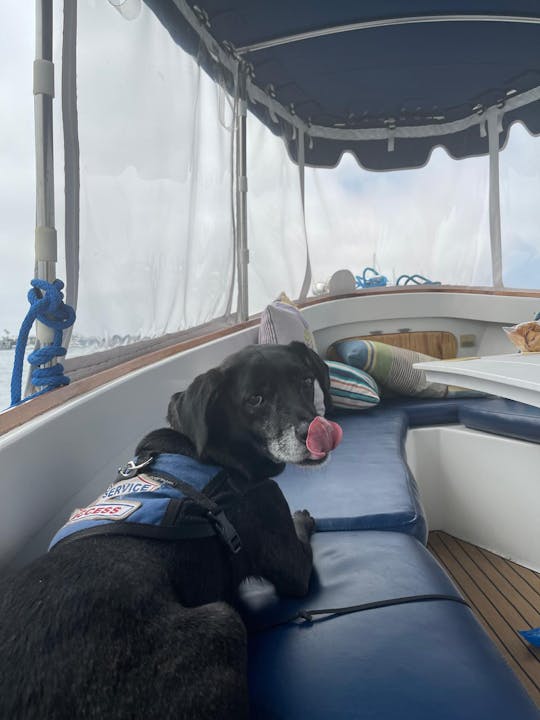 Alquiler de un barco Duffy eléctrico de 2 a 3 horas para hasta 12 personas con capitán