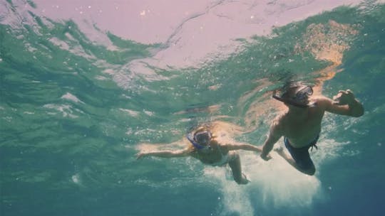 Excursão particular de um dia fretado em Curaçao, das 9h às 15h