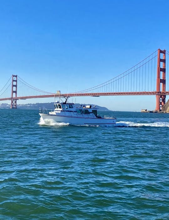 Parties and bay cruises on San Francisco Bay 