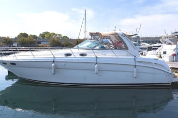 42' Luxury Party Yacht in Toronto