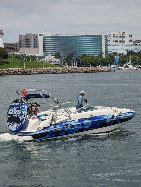 Excursão privada de observação de baleias e barco de festa