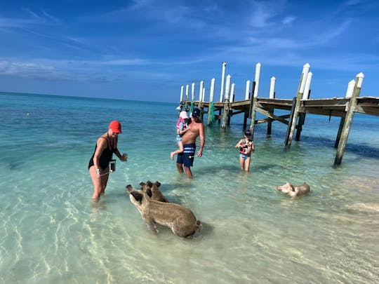Nassau Private beach,snorkeling, swimming pigs and sightseeing tours with jetski