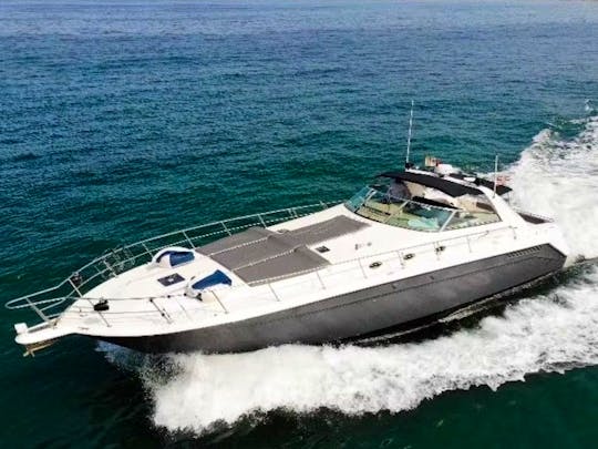 Sundancer 500 Spacious & Socially Designed Yacht In Puerto Vallarta