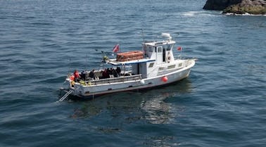 Charter a 45ft Boat in Gloucester – Perfect for Parties, Tours & Swims